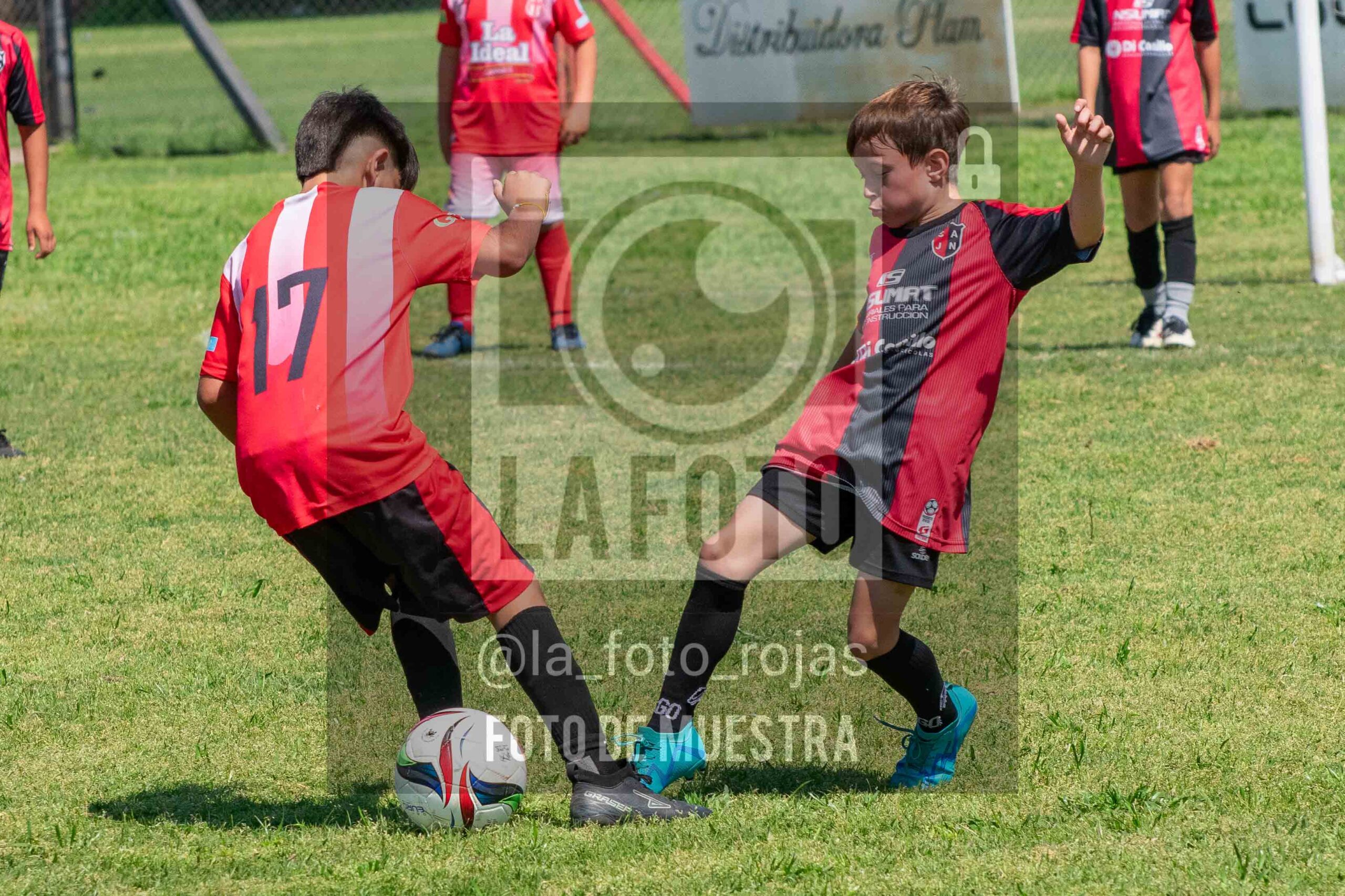 Fotografía 2015-NEW-JUVE-48-scaled de NEWBERY - JUVENTUD / 2015