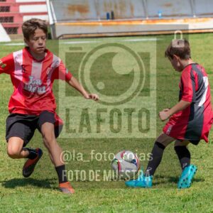 Fotografía 2015-NEW-JUVE-50-scaled de NEWBERY - JUVENTUD / 2015