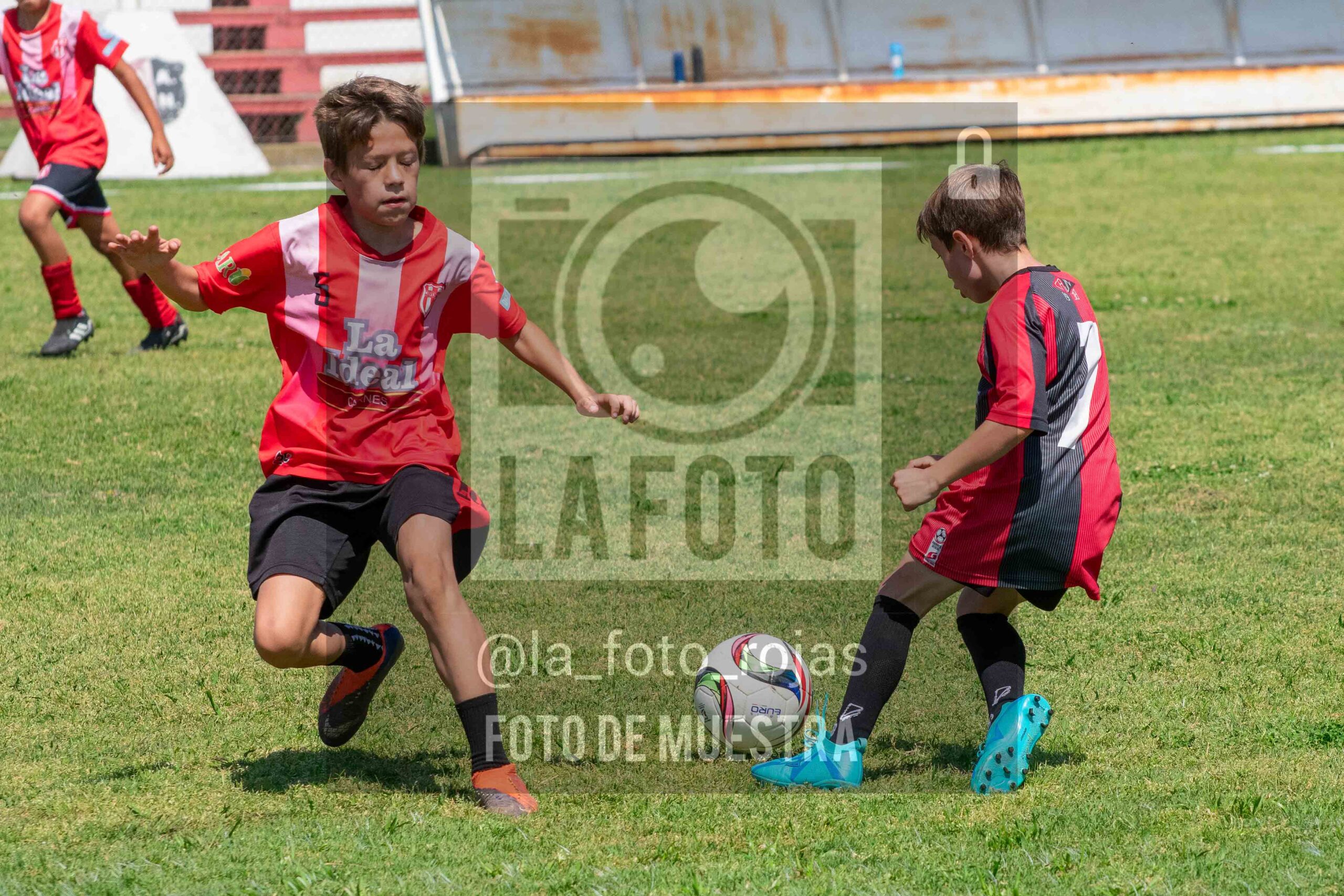 Fotografía 2015-NEW-JUVE-50-scaled de NEWBERY - JUVENTUD / 2015