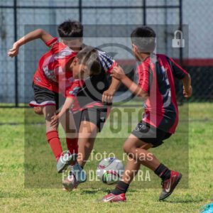 Fotografía 2015-NEW-JUVE-54-scaled de NEWBERY - JUVENTUD / 2015