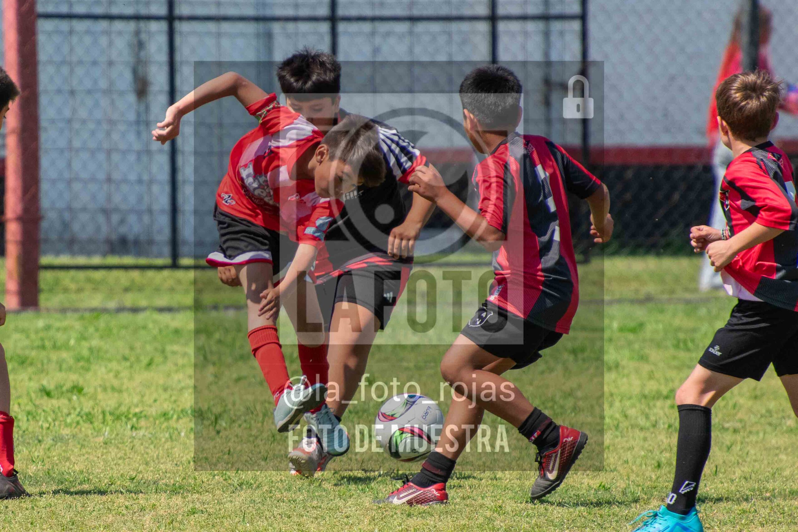 Fotografía 2015-NEW-JUVE-54-scaled de NEWBERY - JUVENTUD / 2015