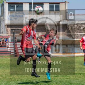 Fotografía 2015-NEW-JUVE-56-scaled de NEWBERY - JUVENTUD / 2015