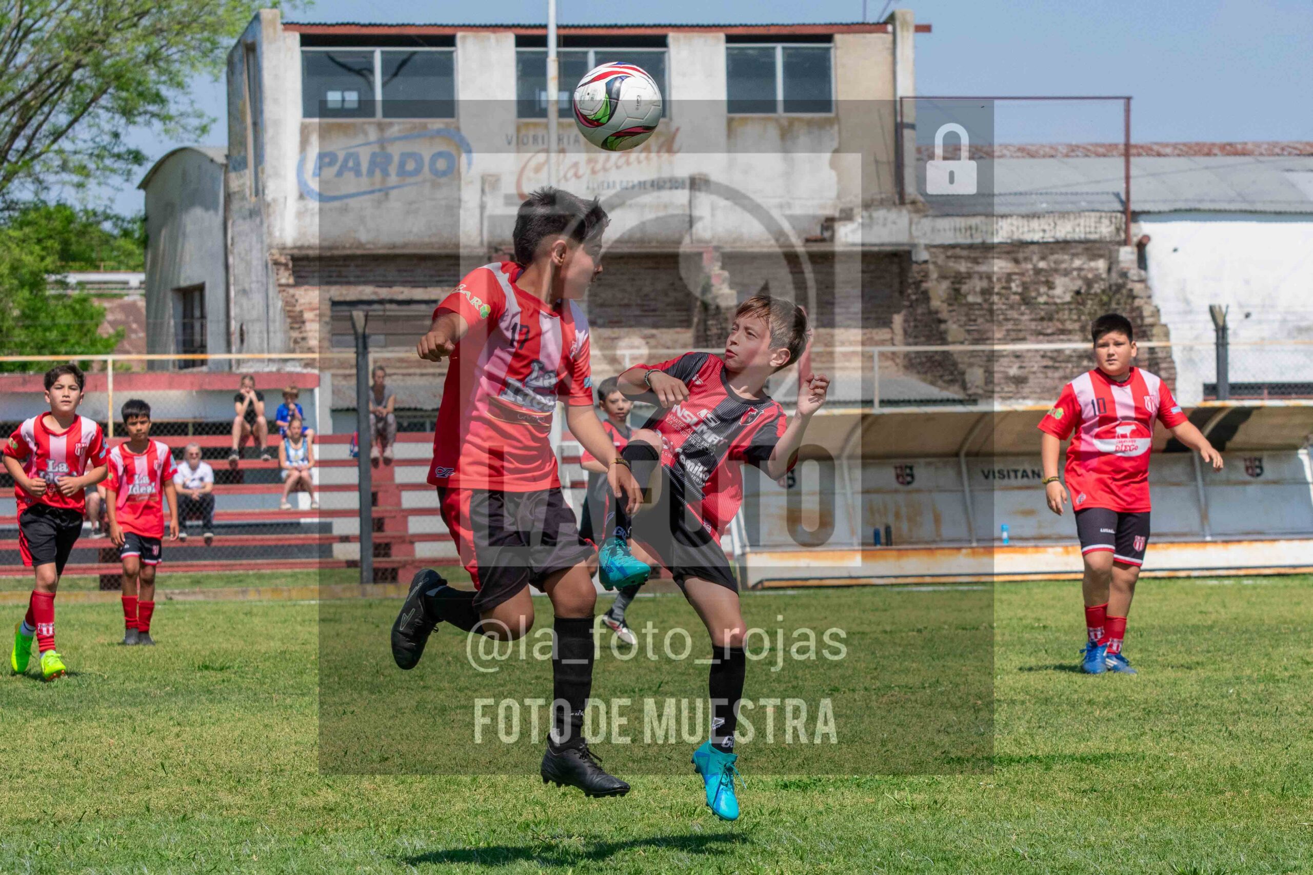 Fotografía 2015-NEW-JUVE-56-scaled de NEWBERY - JUVENTUD / 2015