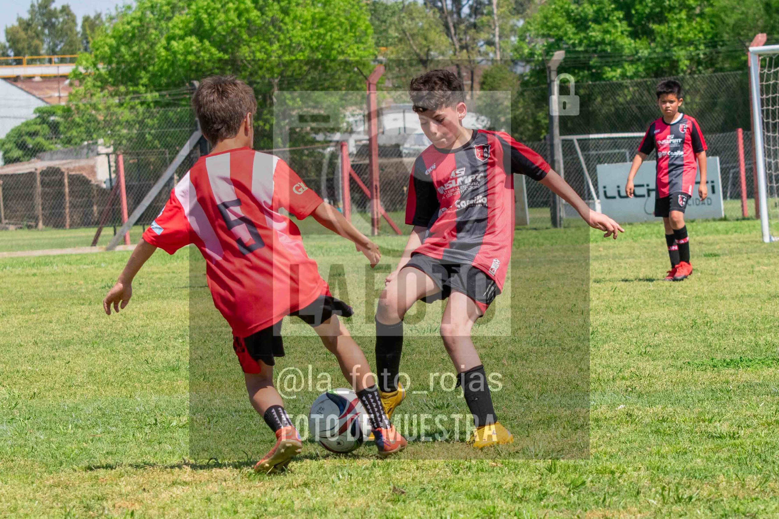 Fotografía 2015-NEW-JUVE-72-scaled de NEWBERY - JUVENTUD / 2015