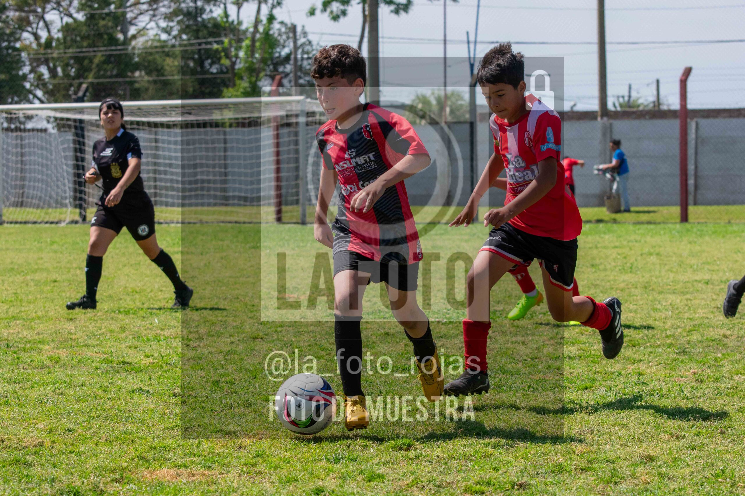 Fotografía 2015-NEW-JUVE-89-scaled de NEWBERY - JUVENTUD / 2015