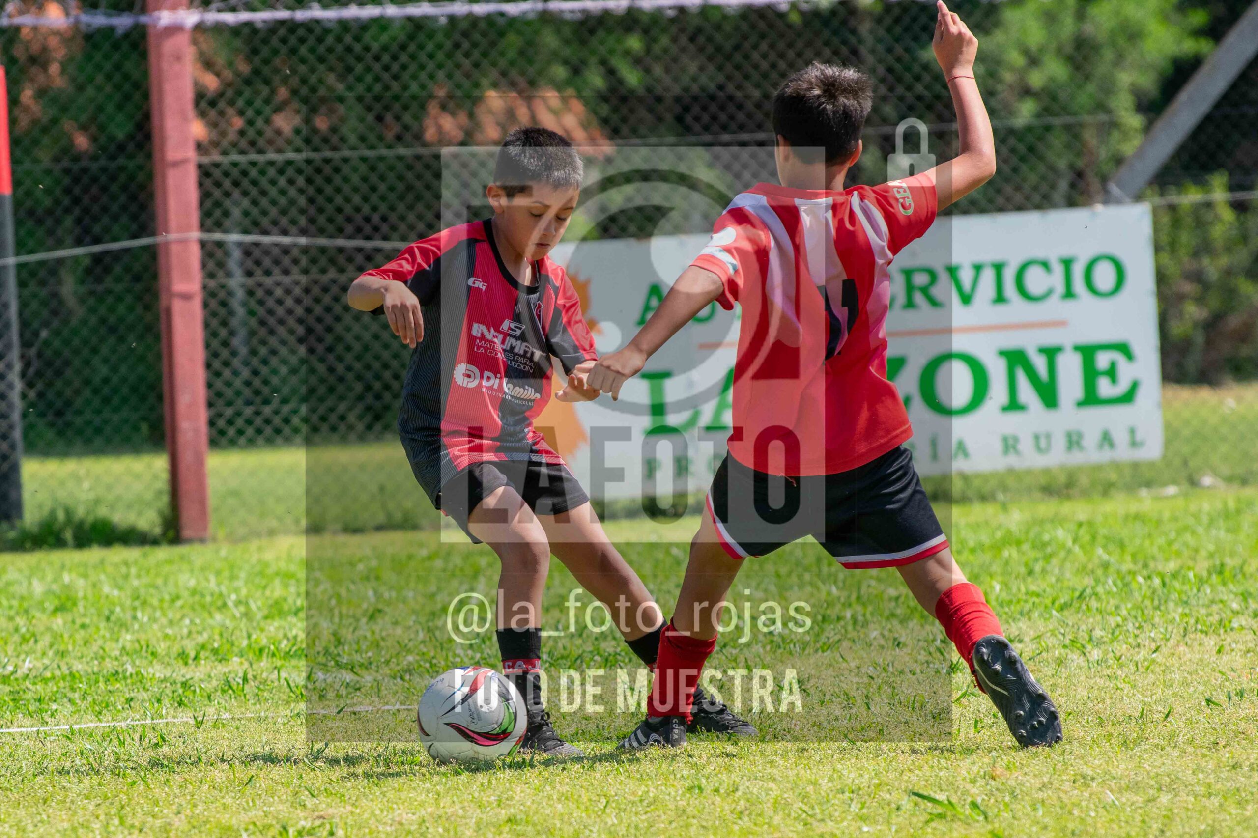 Fotografía 2015-NEW-JUVE-9-scaled de NEWBERY - JUVENTUD / 2015