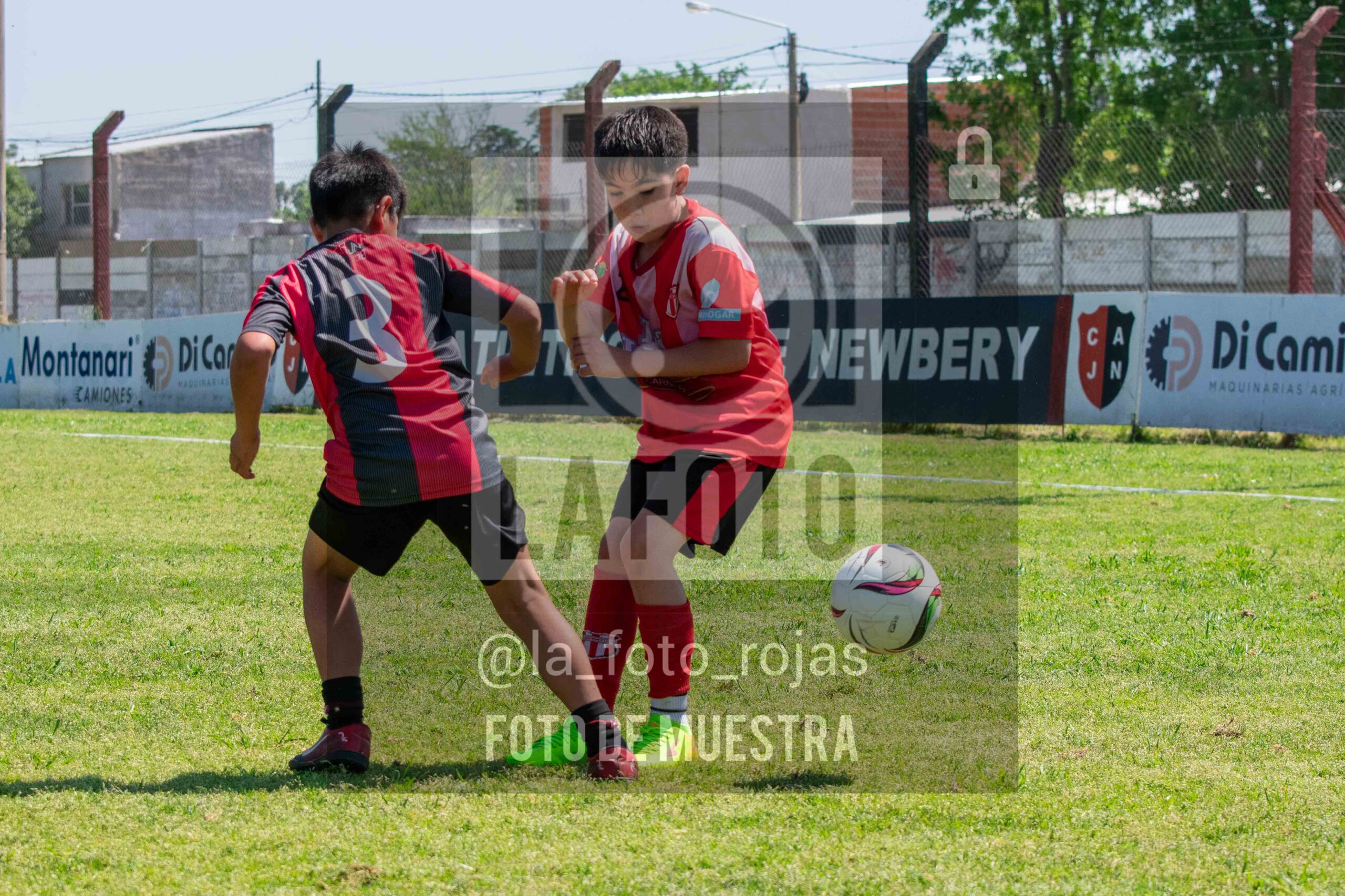Fotografía 2015-NEW-JUVE-92-scaled de NEWBERY - JUVENTUD / 2015