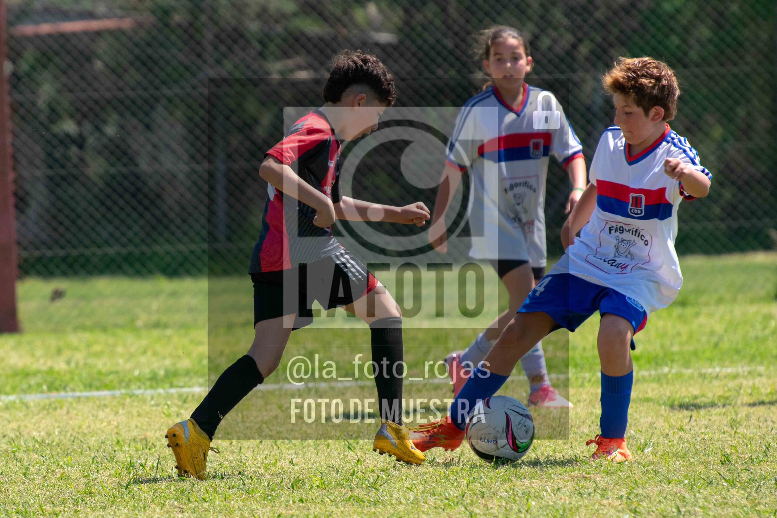 Fotografía 2015-NEWBERY-UNION-10-scaled de NEWBERY - UNION / 2015
