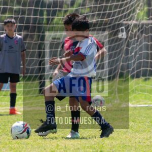 Fotografía 2015-NEWBERY-UNION-104-scaled de NEWBERY - UNION / 2015