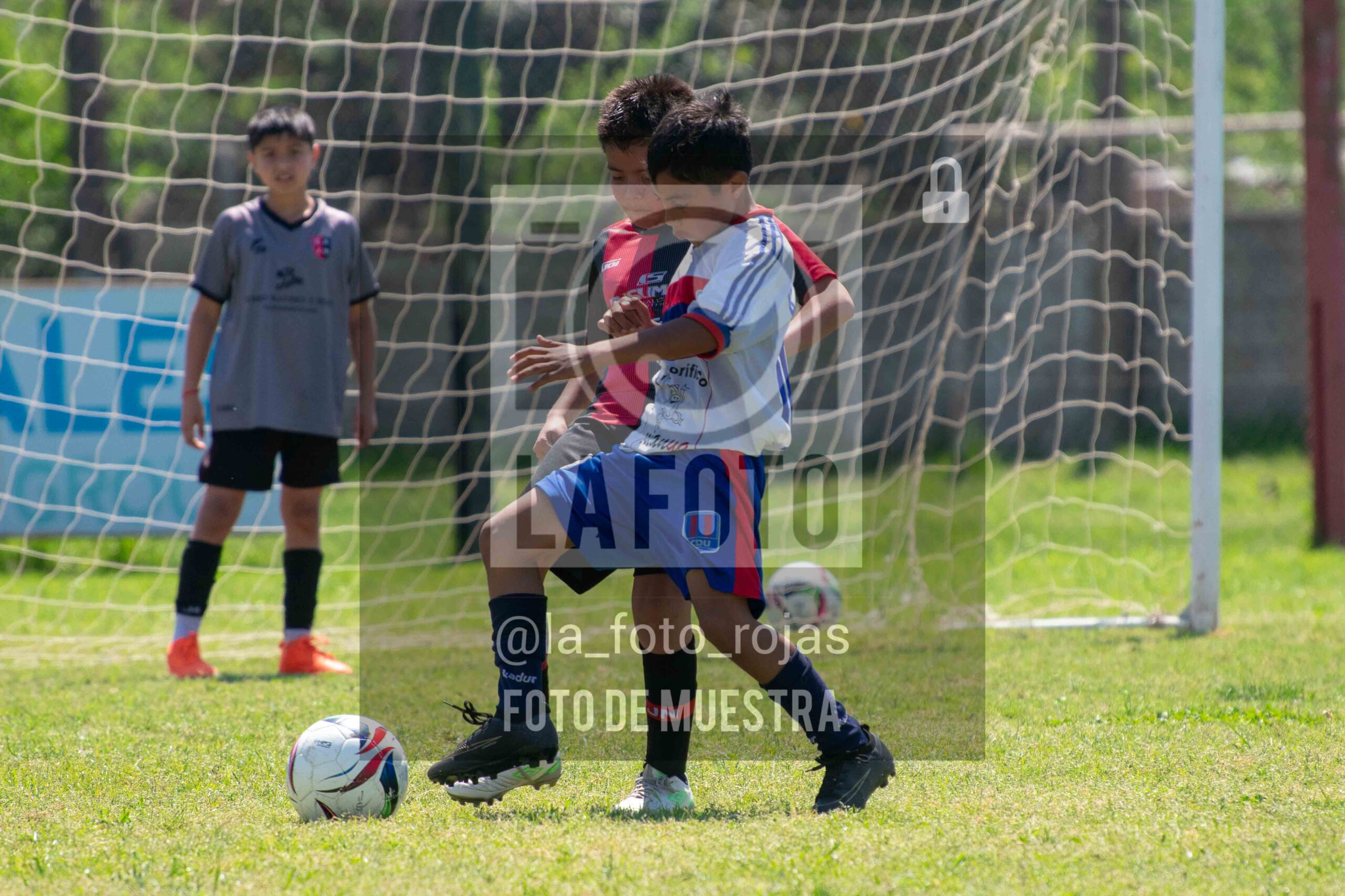 Fotografía 2015-NEWBERY-UNION-104-scaled de NEWBERY - UNION / 2015
