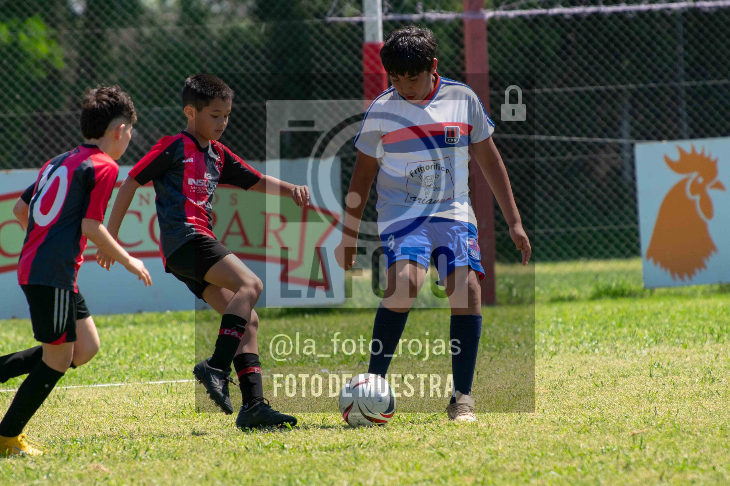 Fotografía 2015-NEWBERY-UNION-11-scaled de NEWBERY - UNION / 2015