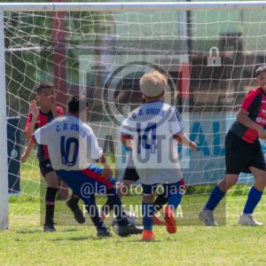 Fotografía 2015-NEWBERY-UNION-116-scaled de NEWBERY - UNION / 2015