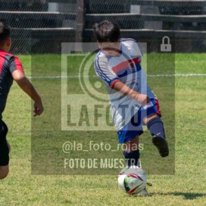 Fotografía 2015-NEWBERY-UNION-117-scaled de NEWBERY - UNION / 2015