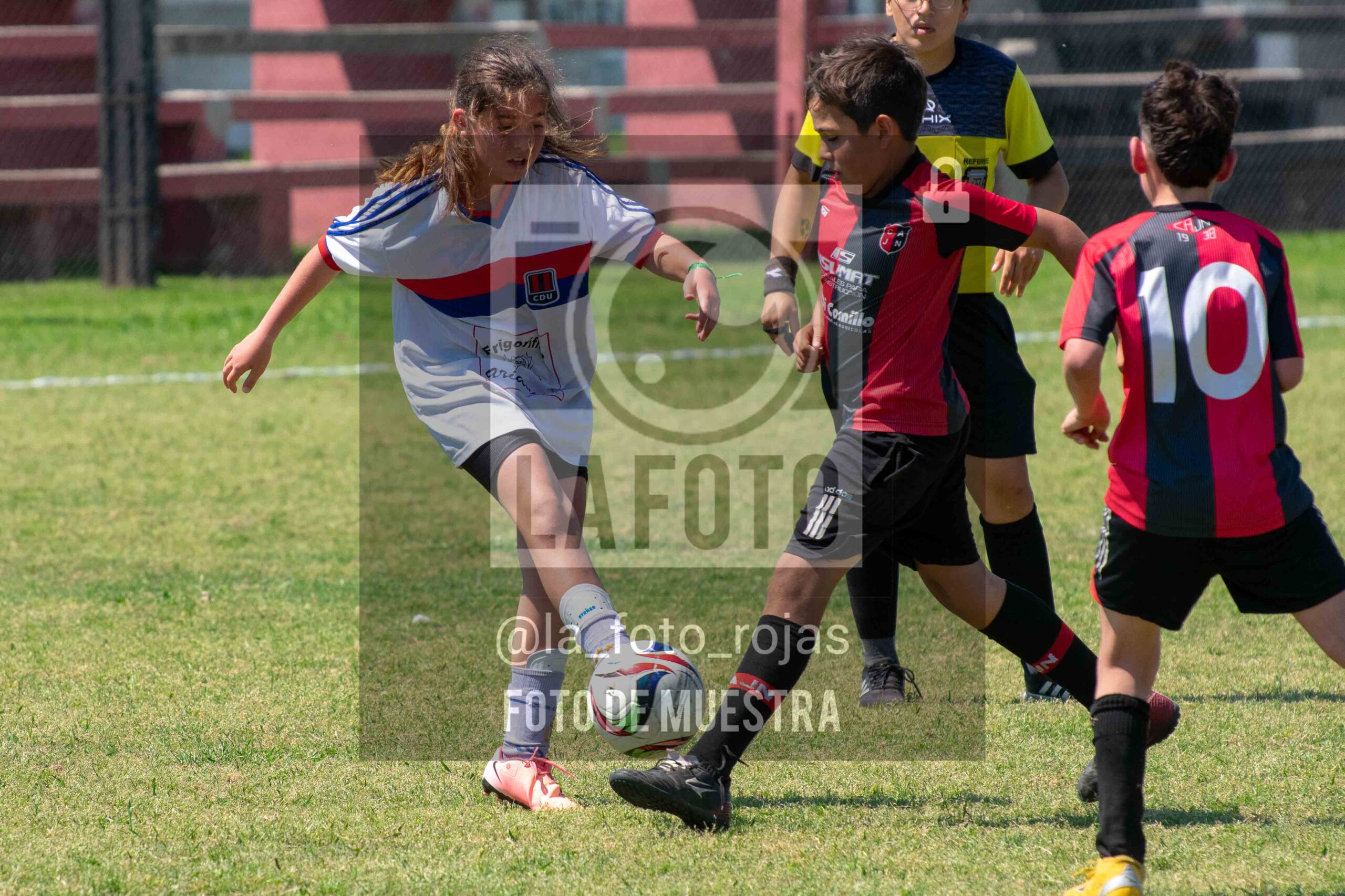 Fotografía 2015-NEWBERY-UNION-118-scaled de NEWBERY - UNION / 2015