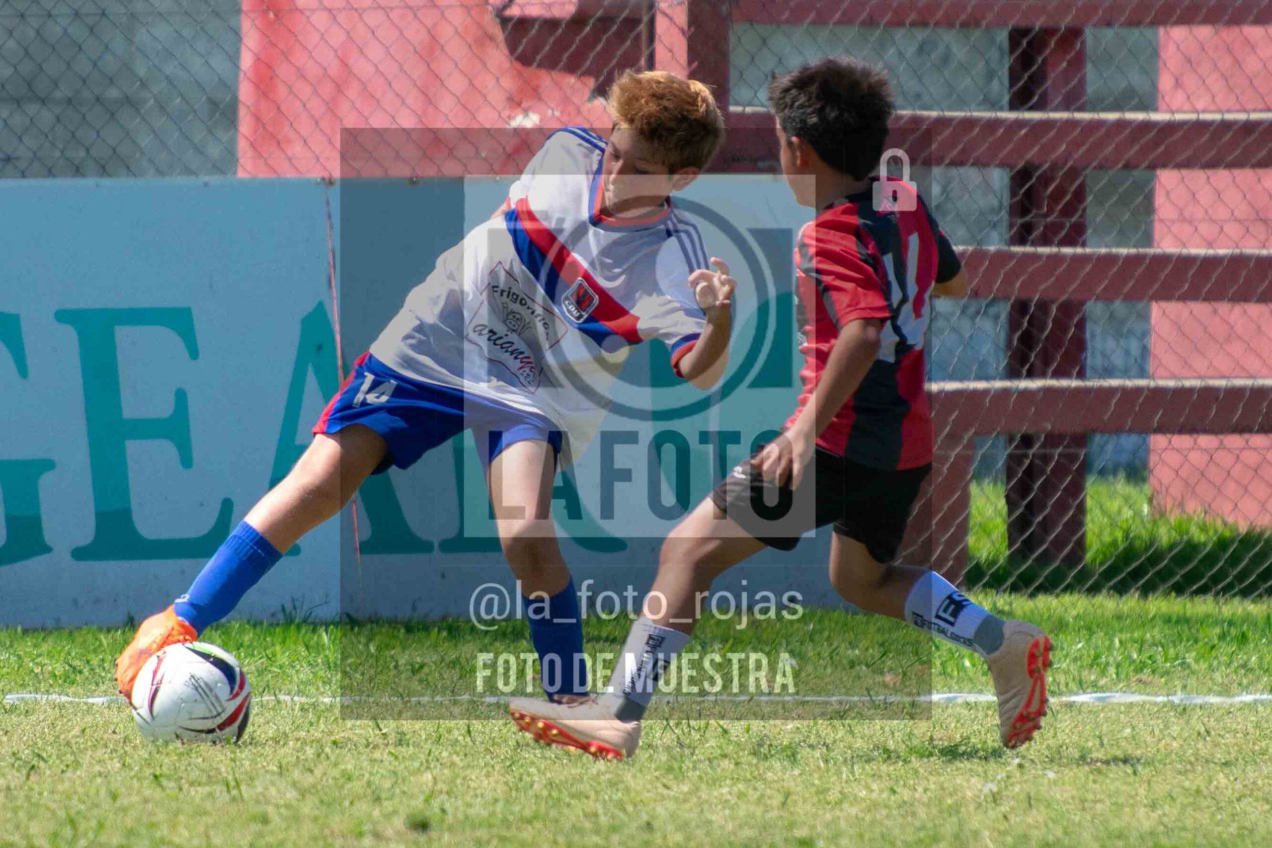 Fotografía 2015-NEWBERY-UNION-119-scaled de NEWBERY - UNION / 2015