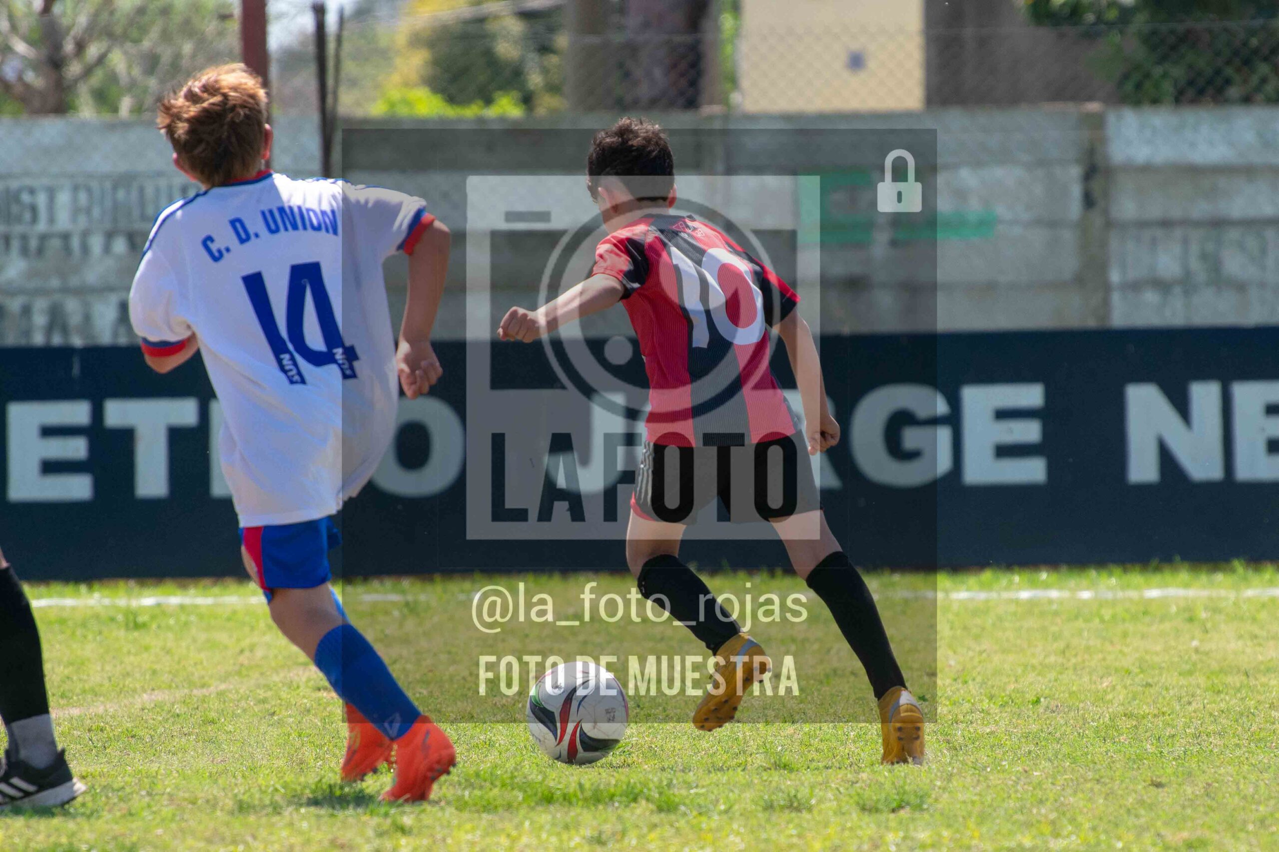 Fotografía 2015-NEWBERY-UNION-12-scaled de NEWBERY - UNION / 2015