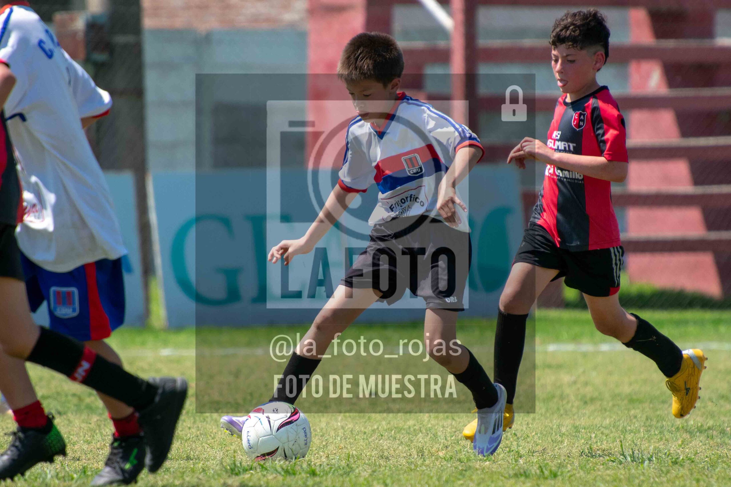 Fotografía 2015-NEWBERY-UNION-120-scaled de NEWBERY - UNION / 2015