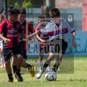 Fotografía 2015-NEWBERY-UNION-121-1-scaled de NEWBERY - UNION / 2015