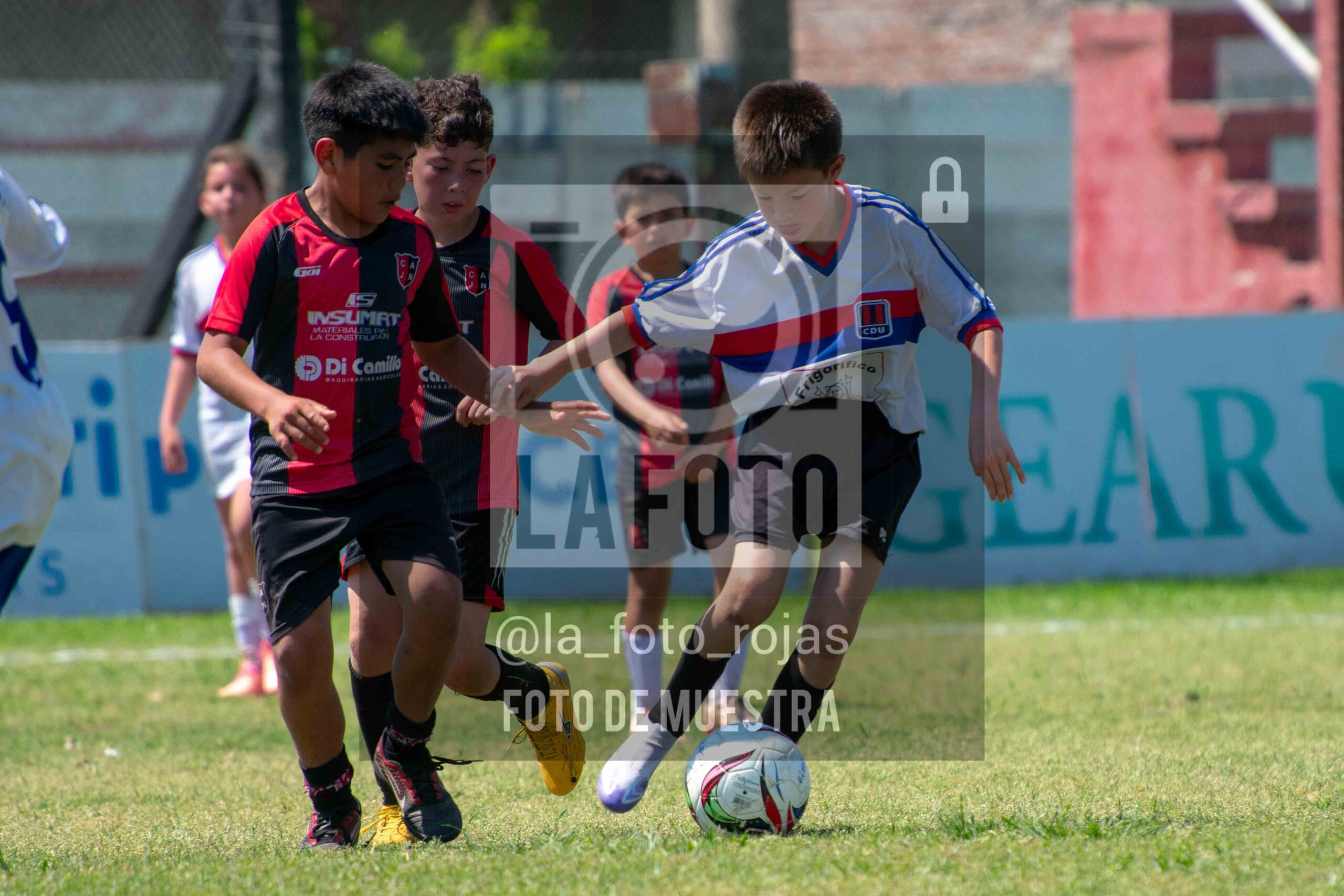 Fotografía 2015-NEWBERY-UNION-121-1-scaled de NEWBERY - UNION / 2015