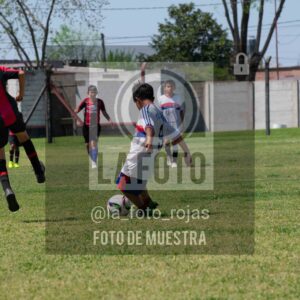 Fotografía 2015-NEWBERY-UNION-122-scaled de NEWBERY - UNION / 2015