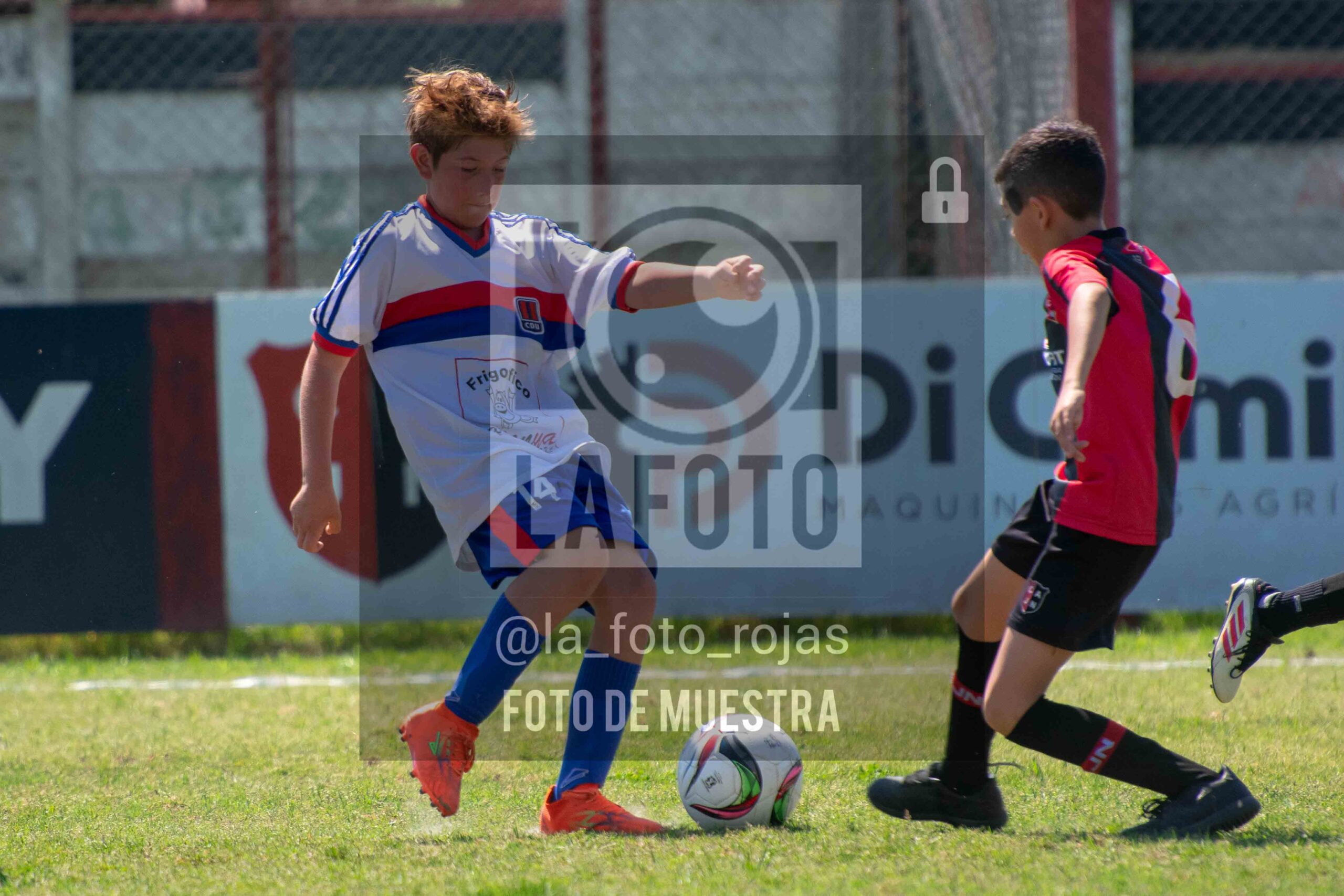 Fotografía 2015-NEWBERY-UNION-16-scaled de NEWBERY - UNION / 2015