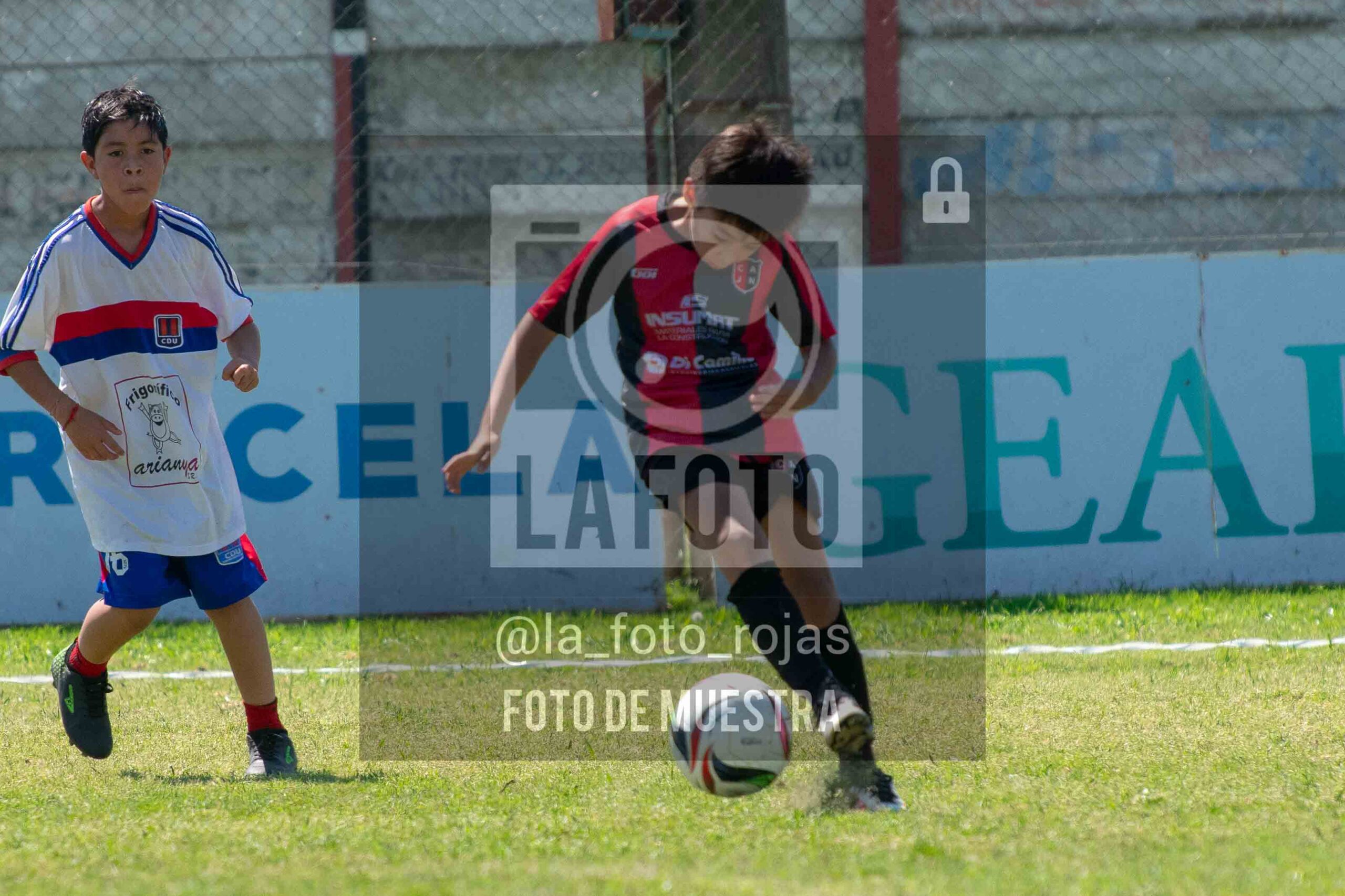 Fotografía 2015-NEWBERY-UNION-17-scaled de NEWBERY - UNION / 2015