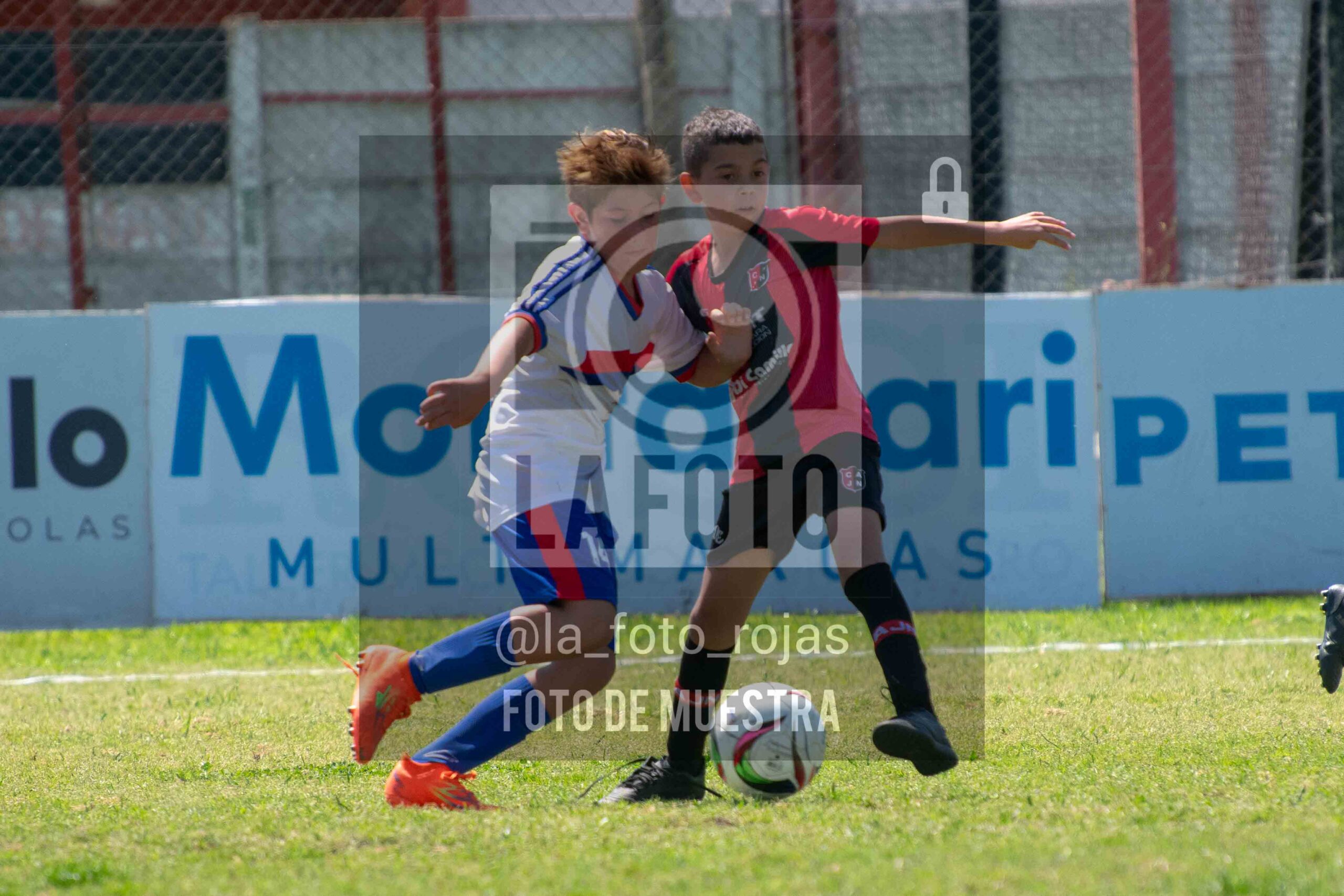 Fotografía 2015-NEWBERY-UNION-21-scaled de NEWBERY - UNION / 2015