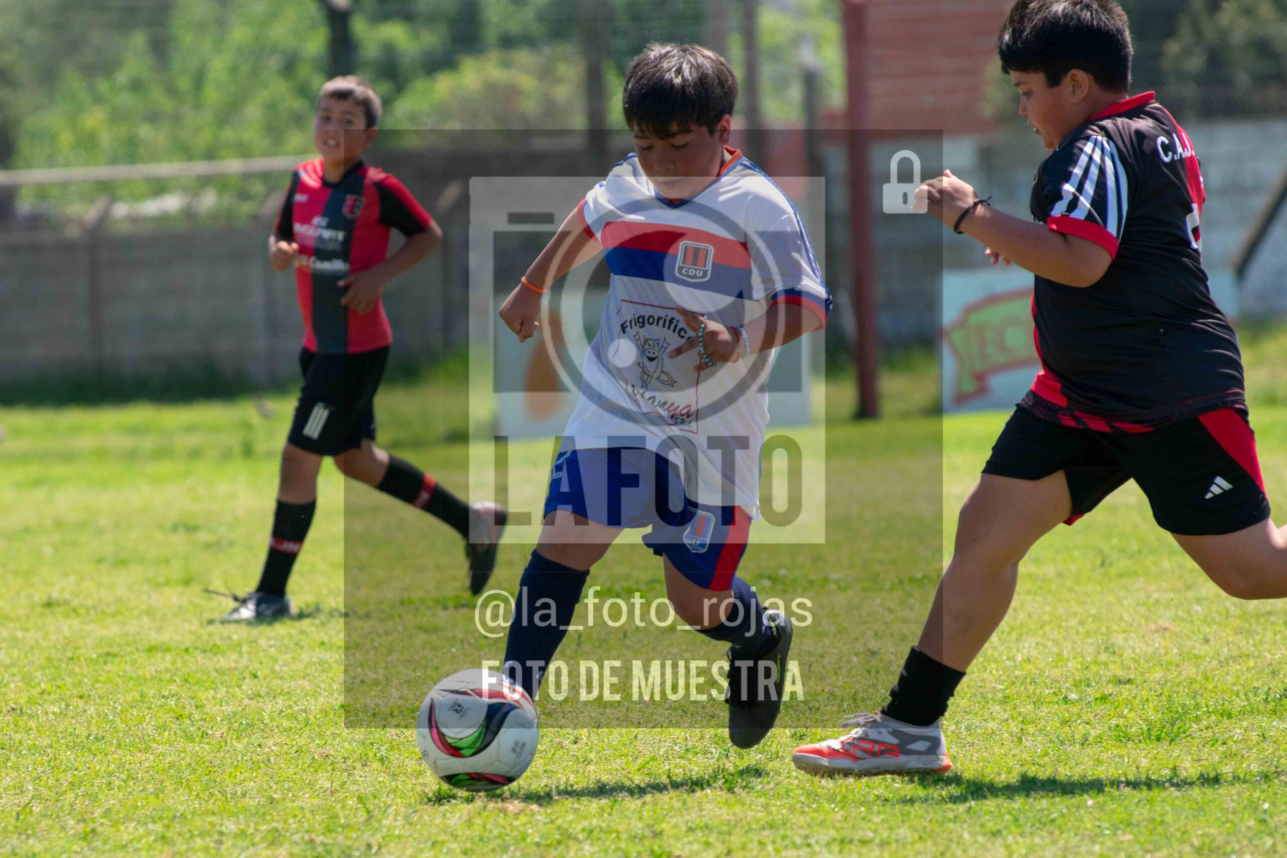 Fotografía 2015-NEWBERY-UNION-24-scaled de NEWBERY - UNION / 2015