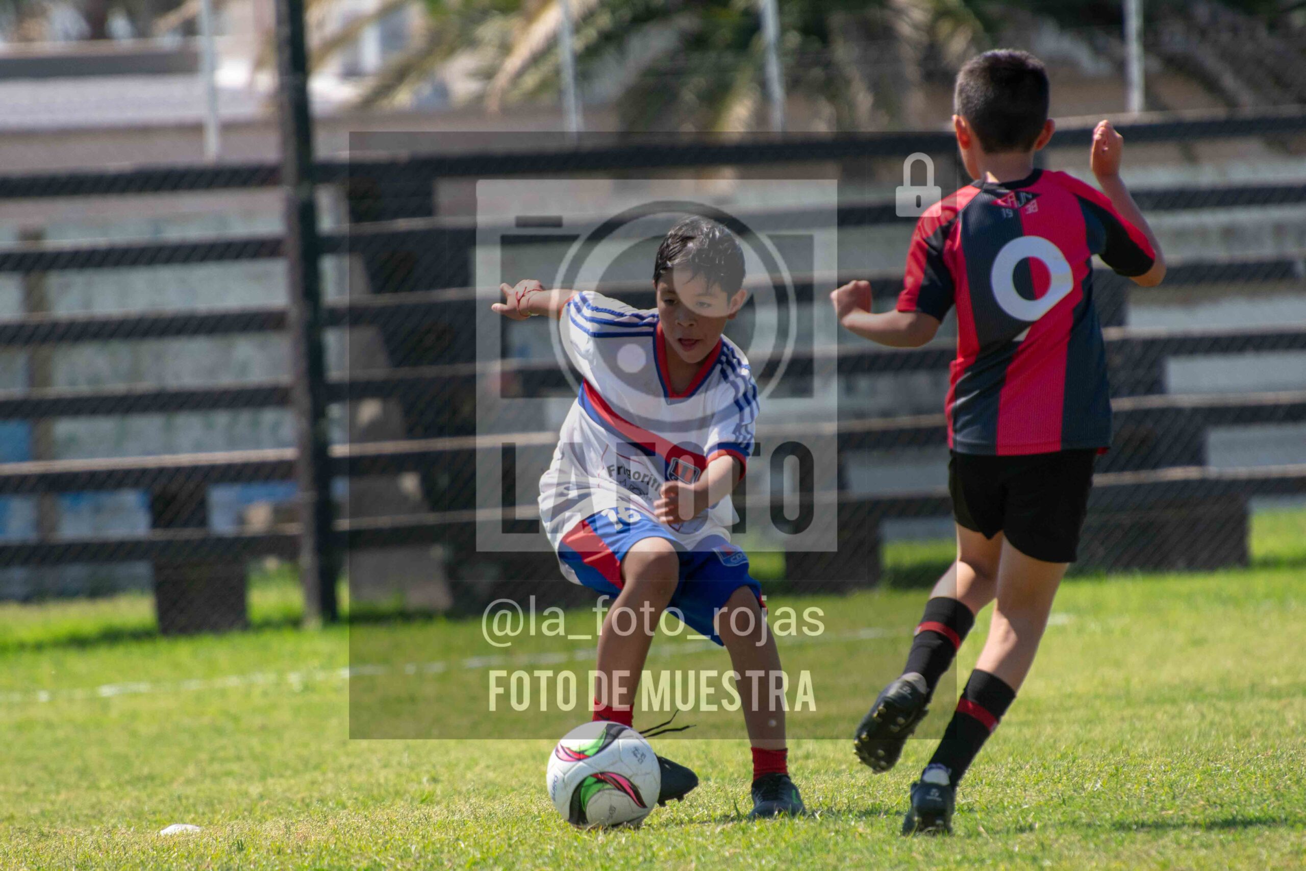 Fotografía 2015-NEWBERY-UNION-27-scaled de NEWBERY - UNION / 2015
