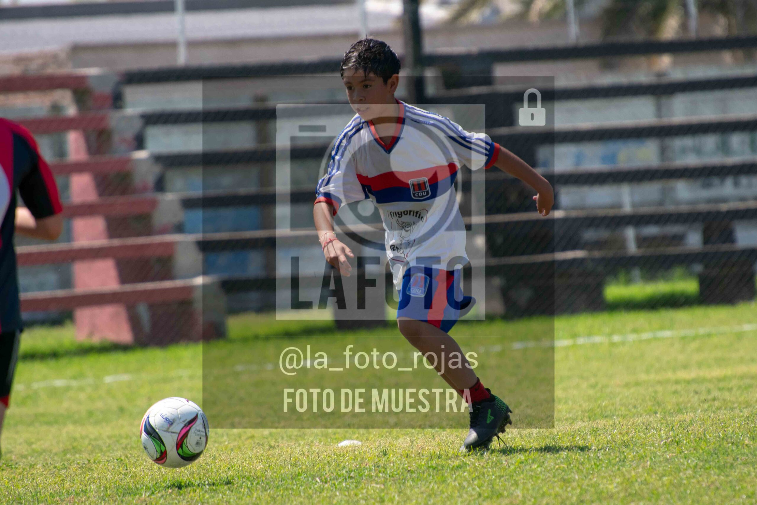 Fotografía 2015-NEWBERY-UNION-28-scaled de NEWBERY - UNION / 2015