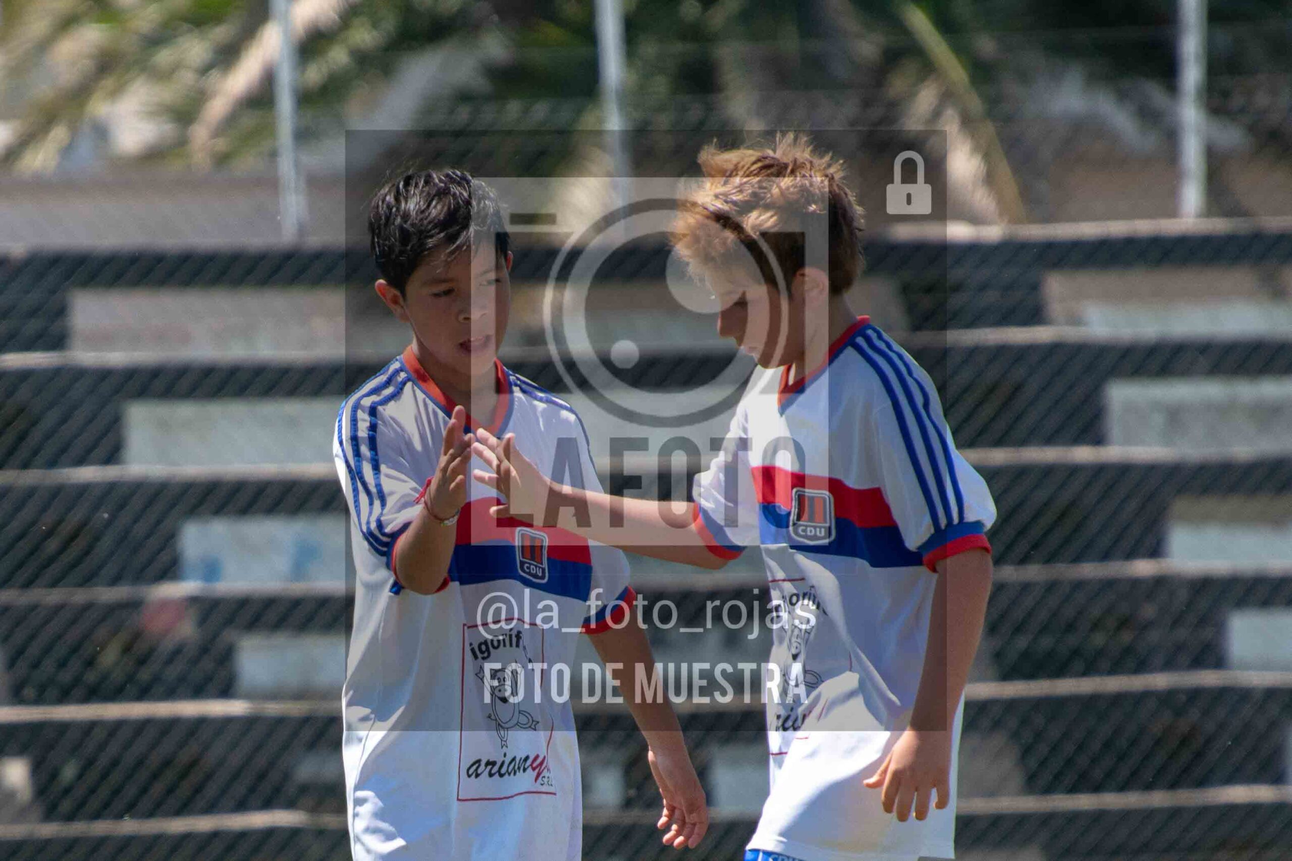 Fotografía 2015-NEWBERY-UNION-42-scaled de NEWBERY - UNION / 2015