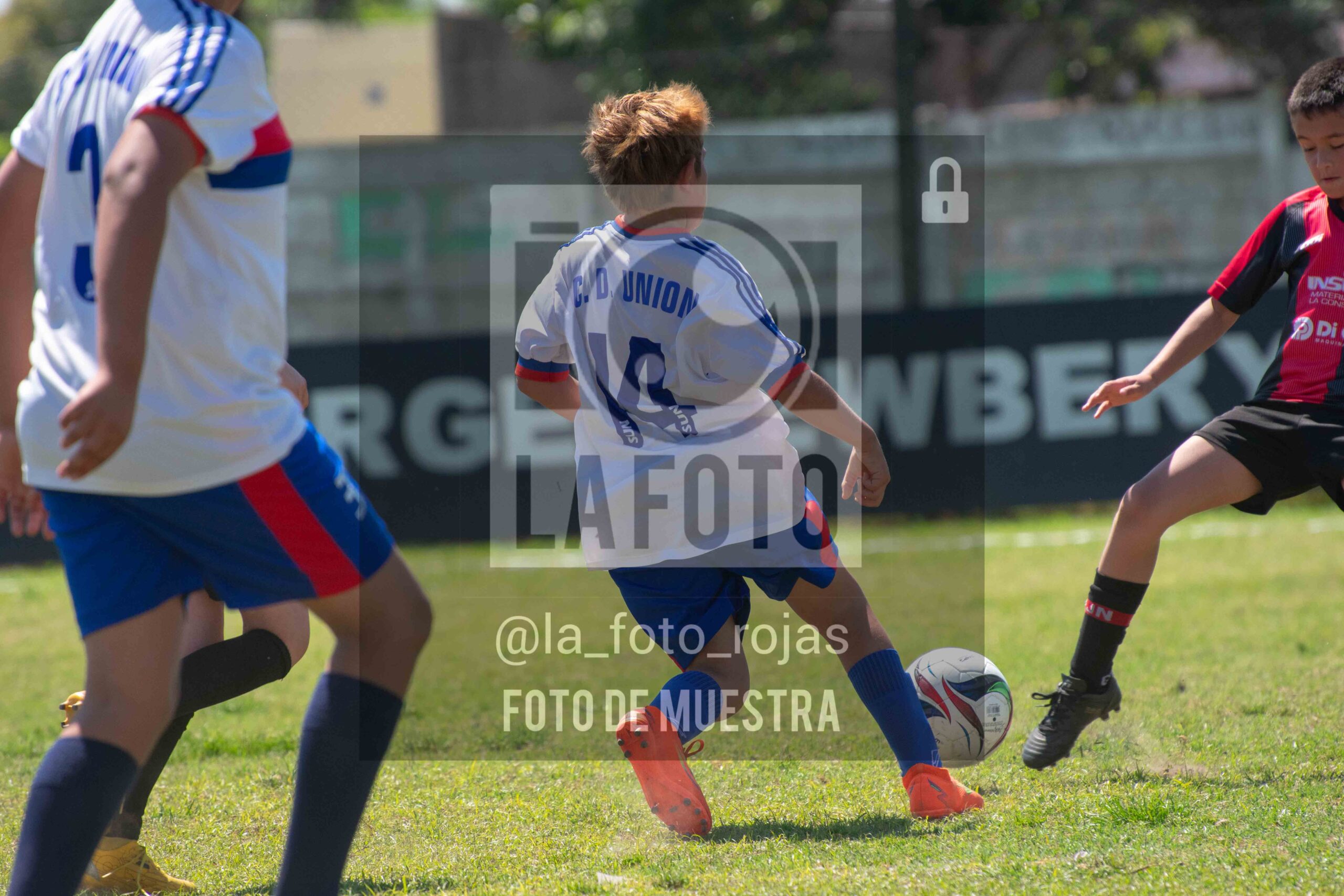 Fotografía 2015-NEWBERY-UNION-44-scaled de NEWBERY - UNION / 2015