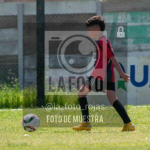 Fotografía 2015-NEWBERY-UNION-47-scaled de NEWBERY - UNION / 2015