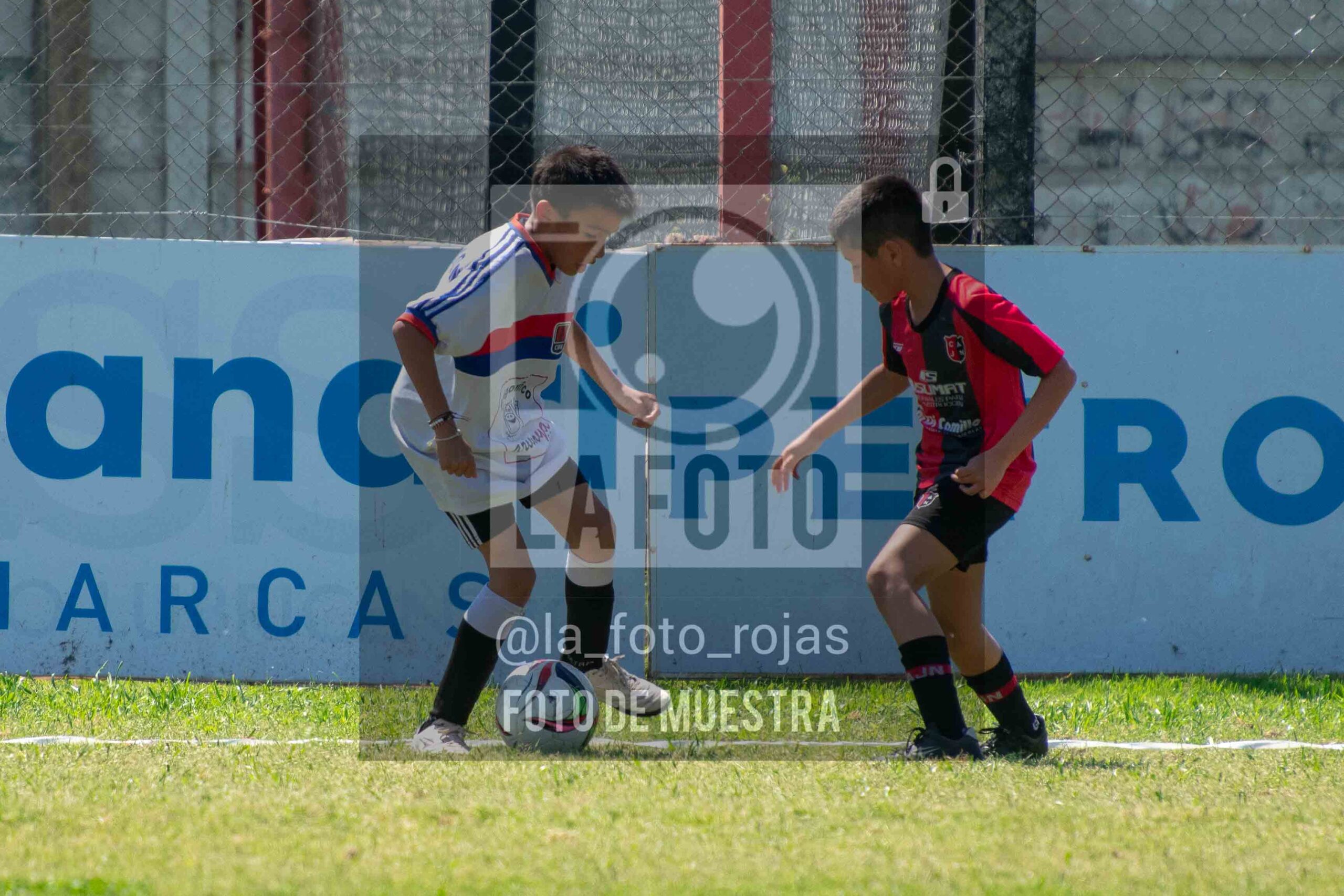 Fotografía 2015-NEWBERY-UNION-48-scaled de NEWBERY - UNION / 2015