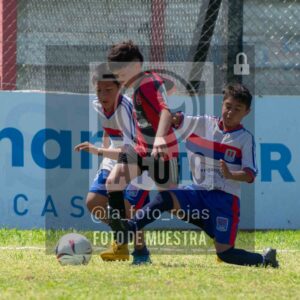 Fotografía 2015-NEWBERY-UNION-52-scaled de NEWBERY - UNION / 2015