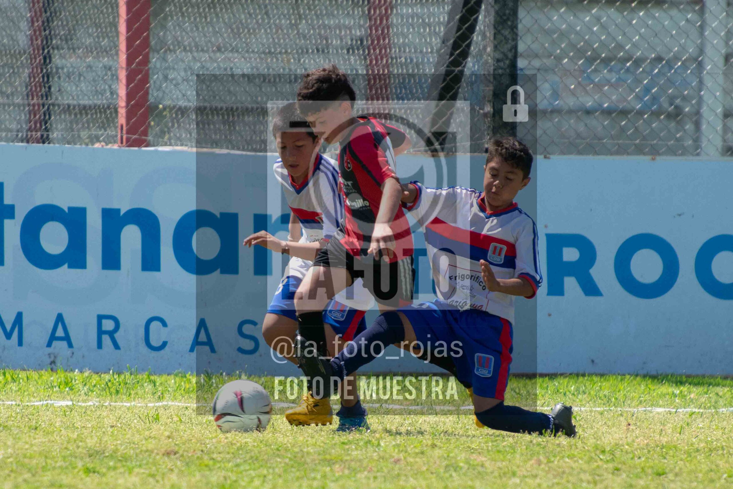Fotografía 2015-NEWBERY-UNION-52-scaled de NEWBERY - UNION / 2015