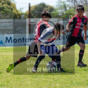Fotografía 2015-NEWBERY-UNION-57-scaled de NEWBERY - UNION / 2015