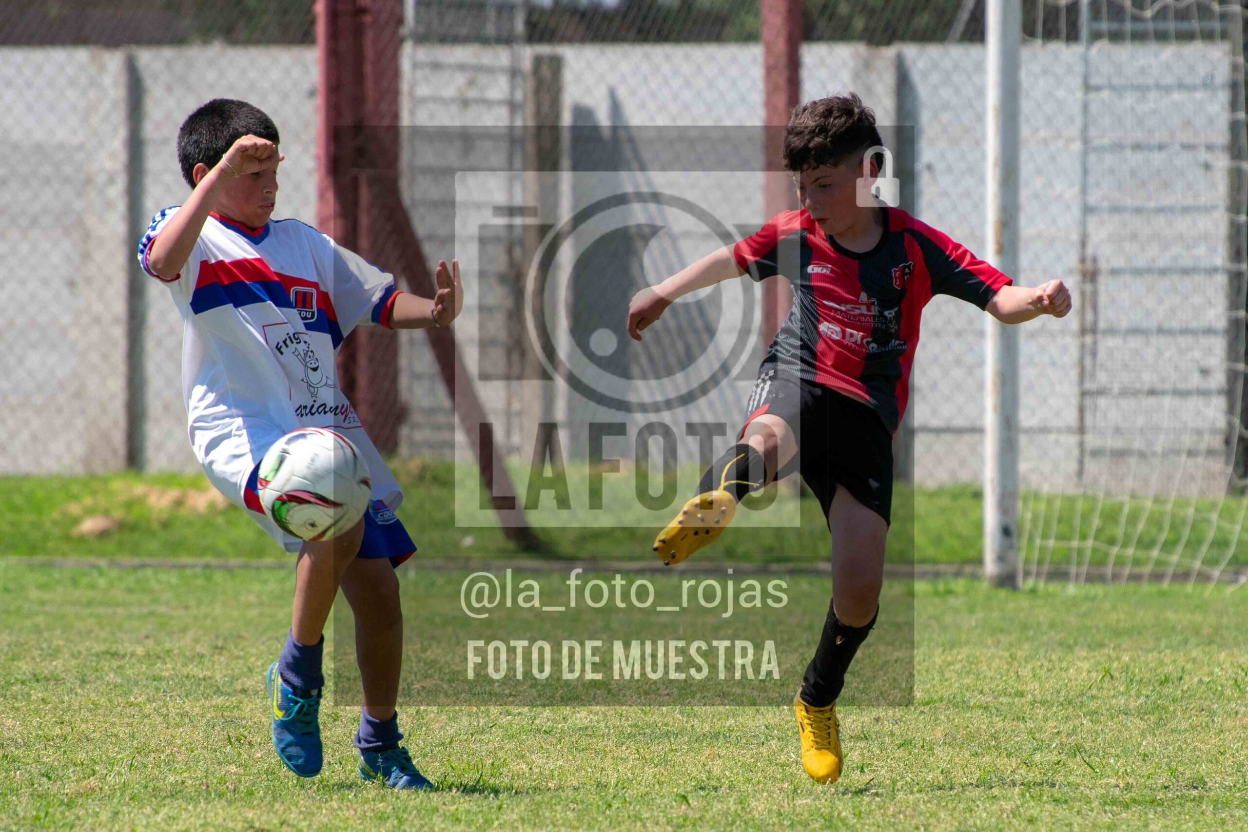 Fotografía 2015-NEWBERY-UNION-64-scaled de NEWBERY - UNION / 2015