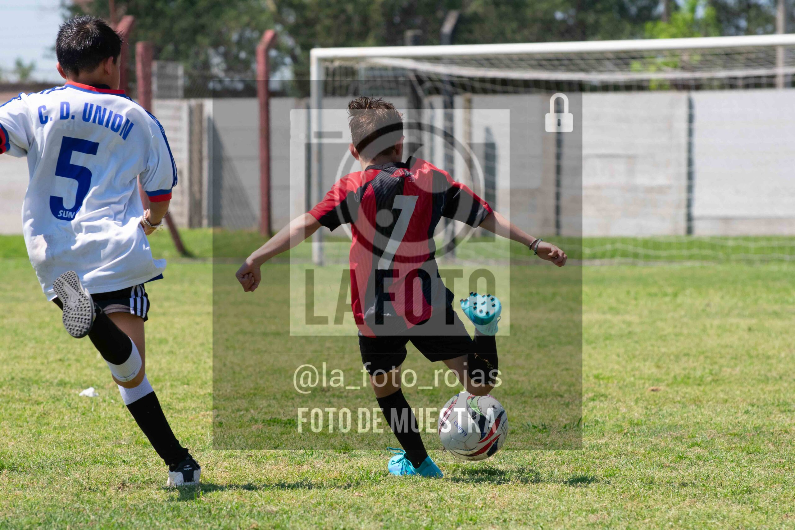 Fotografía 2015-NEWBERY-UNION-77-scaled de NEWBERY - UNION / 2015
