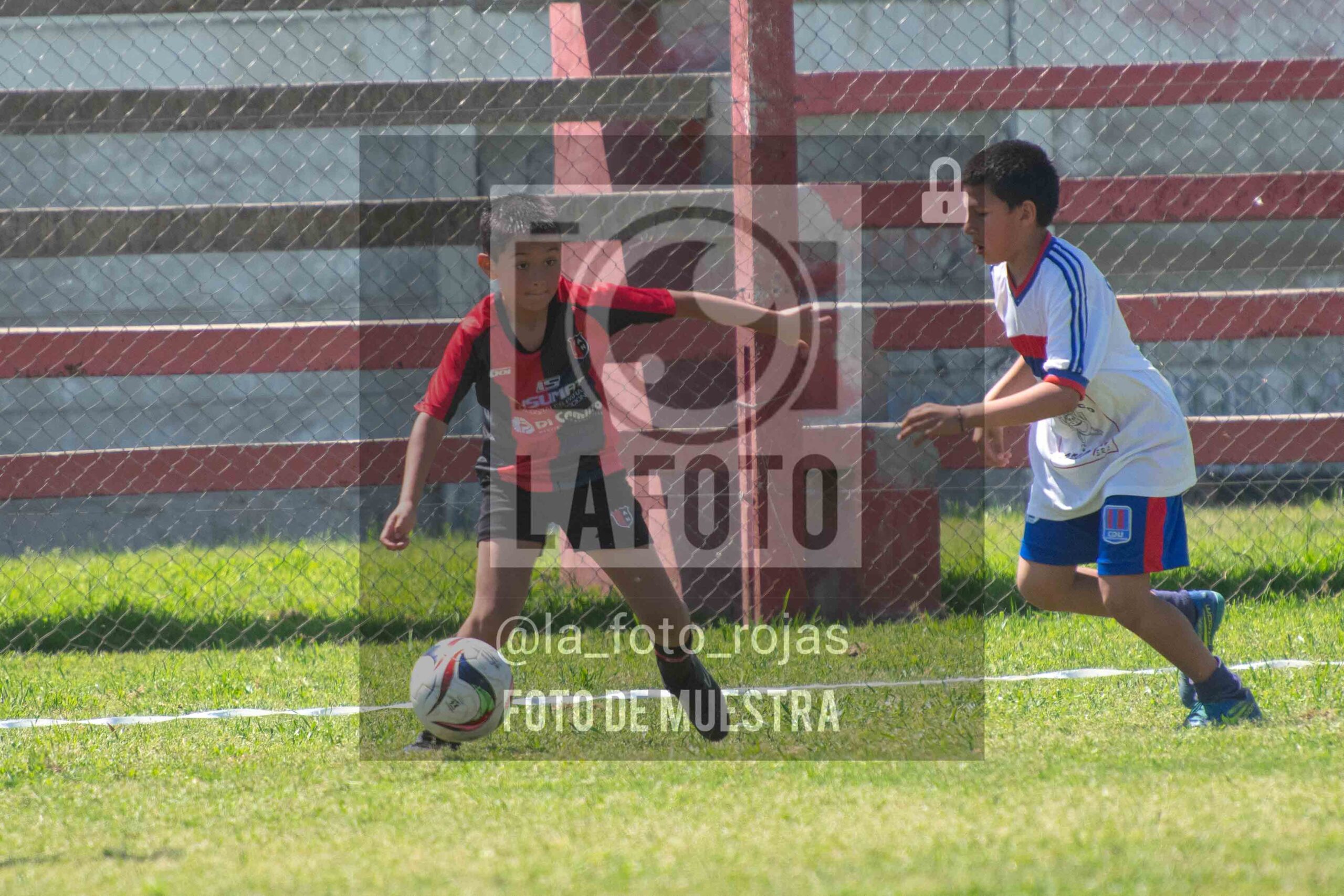 Fotografía 2015-NEWBERY-UNION-81-scaled de NEWBERY - UNION / 2015