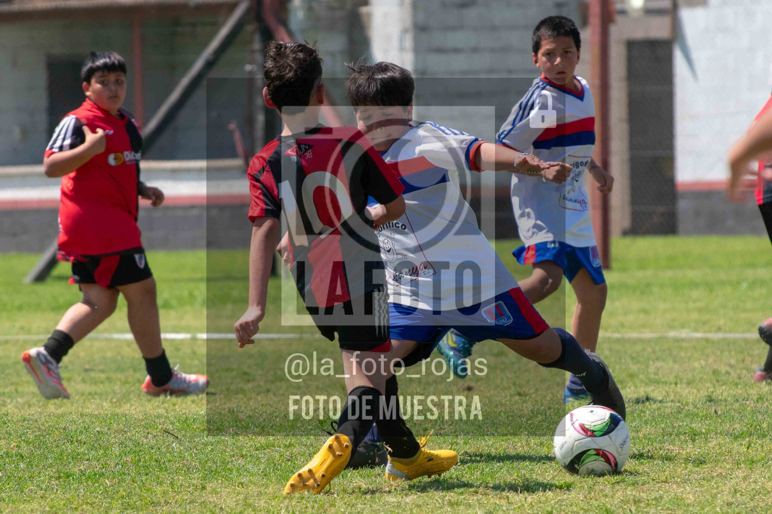 Fotografía 2015-NEWBERY-UNION-85-scaled de NEWBERY - UNION / 2015