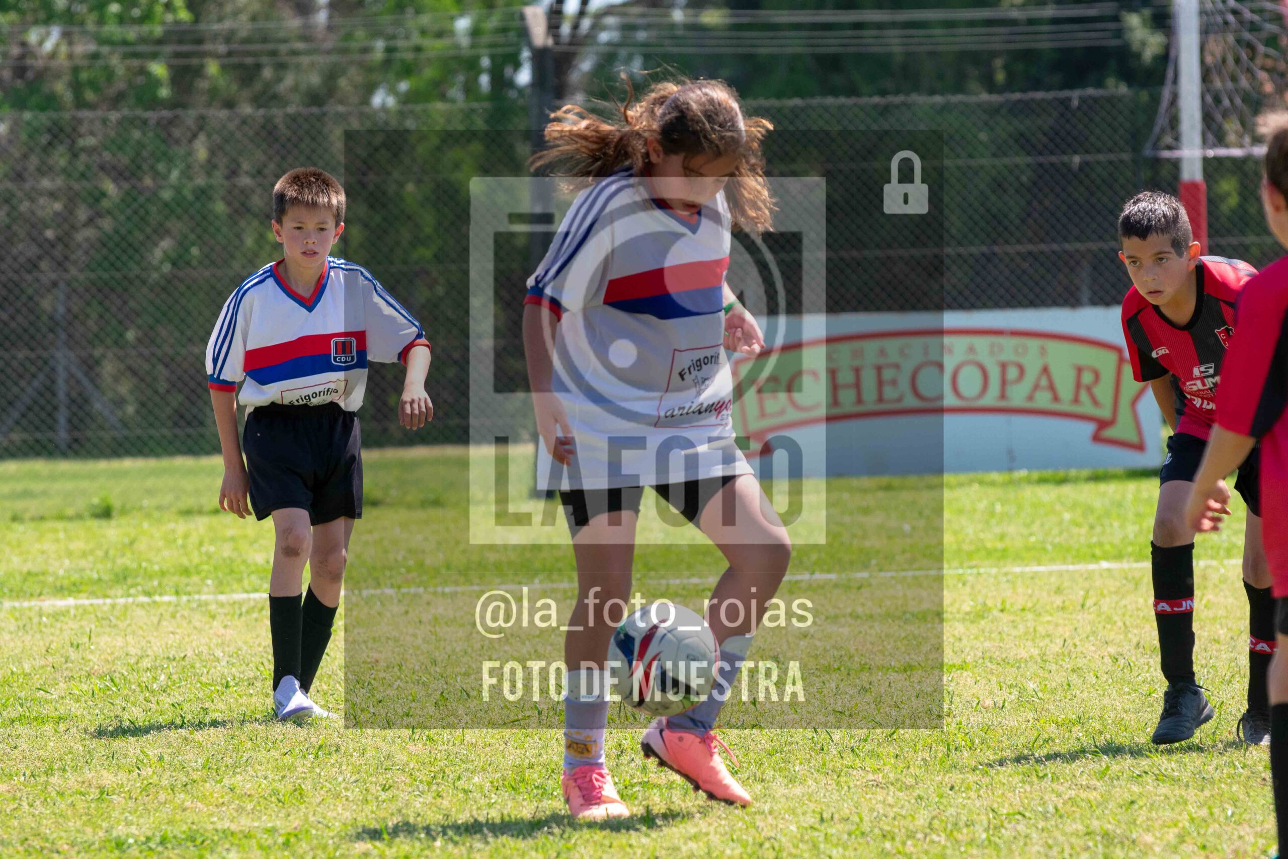 Fotografía 2015-NEWBERY-UNION-89-scaled de NEWBERY - UNION / 2015