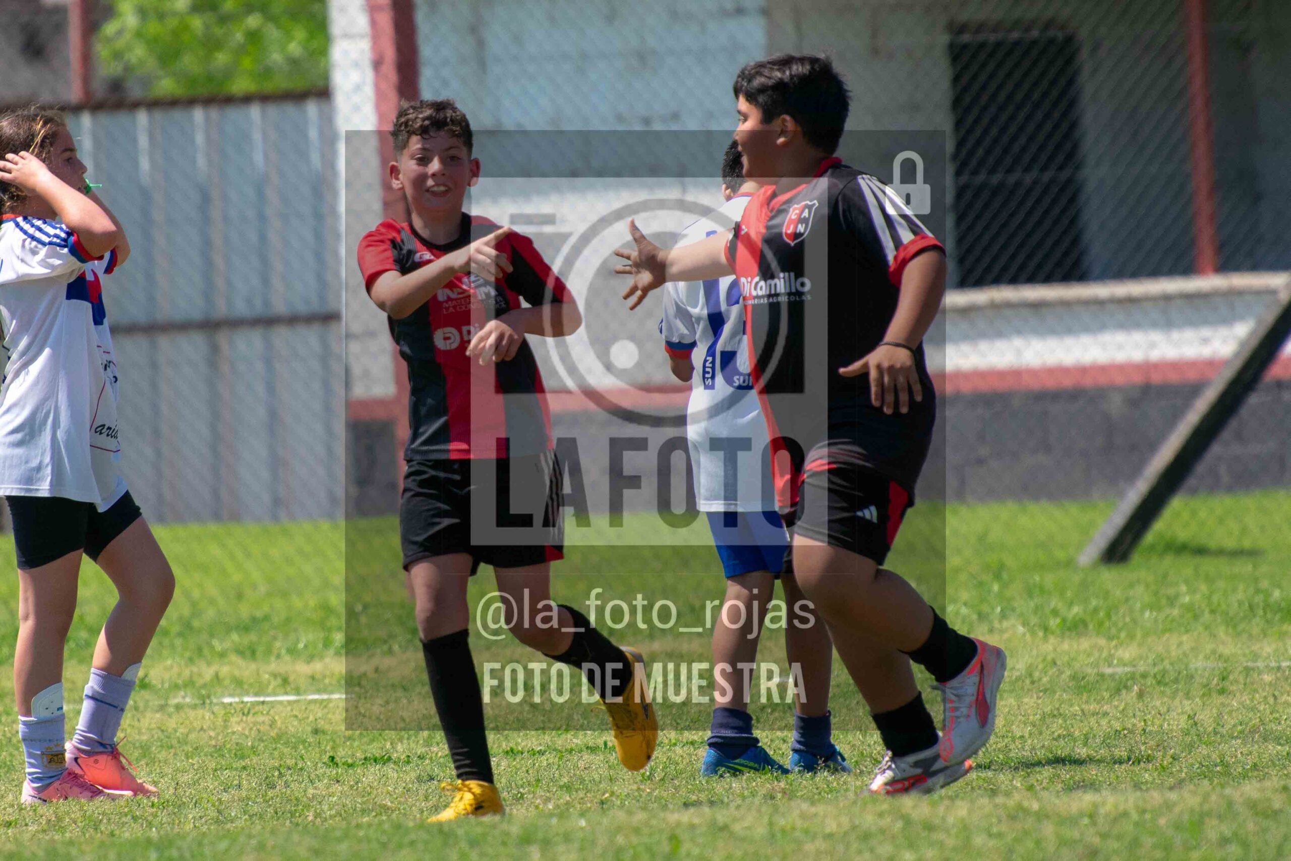 Fotografía 2015-NEWBERY-UNION-95-scaled de NEWBERY - UNION / 2015