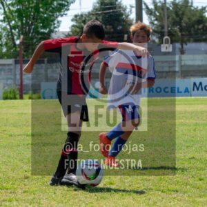Fotografía 2015-NEWBERY-UNION-98-scaled de NEWBERY - UNION / 2015