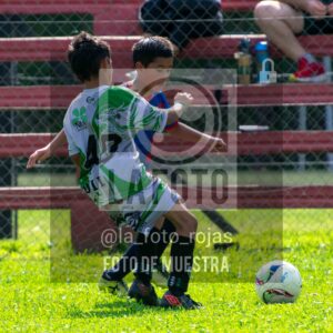 Fotografía 2017-INDART-UNION-1-scaled de NEWBERY - INDART - UNION / 2017