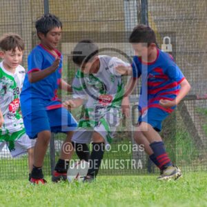 Fotografía 2017-INDART-UNION-16-scaled de NEWBERY - INDART - UNION / 2017