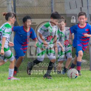 Fotografía 2017-INDART-UNION-17-scaled de NEWBERY - INDART - UNION / 2017