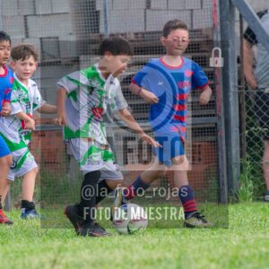 Fotografía 2017-INDART-UNION-18-scaled de NEWBERY - INDART - UNION / 2017