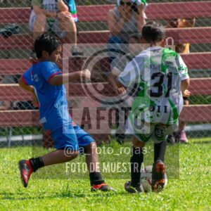 Fotografía 2017-INDART-UNION-3-scaled de NEWBERY - INDART - UNION / 2017