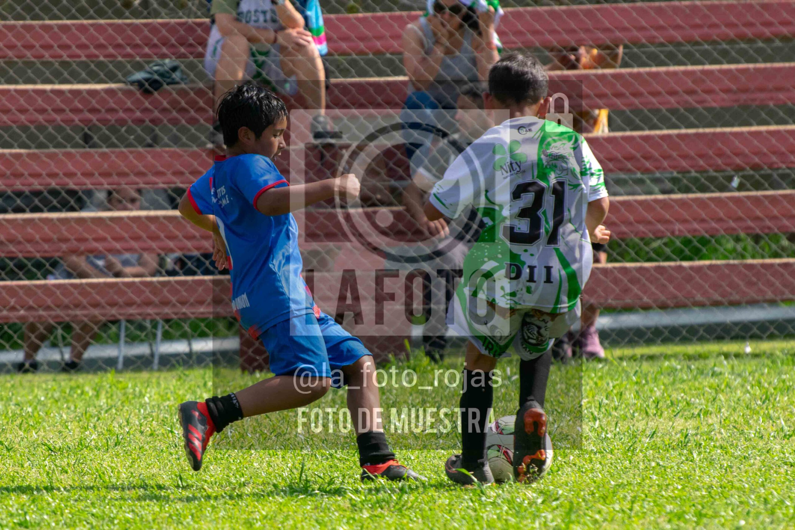 Fotografía 2017-INDART-UNION-3-scaled de NEWBERY - INDART - UNION / 2017